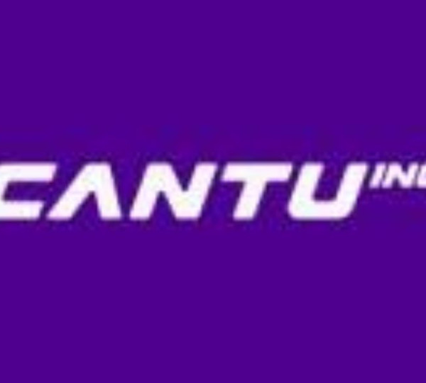 Vendedor Externo - Cantu INC