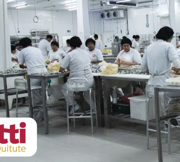 Chefe de Setor de Produção - R$ 3.196,19 - Olaria/RJ - Tutti Quitute