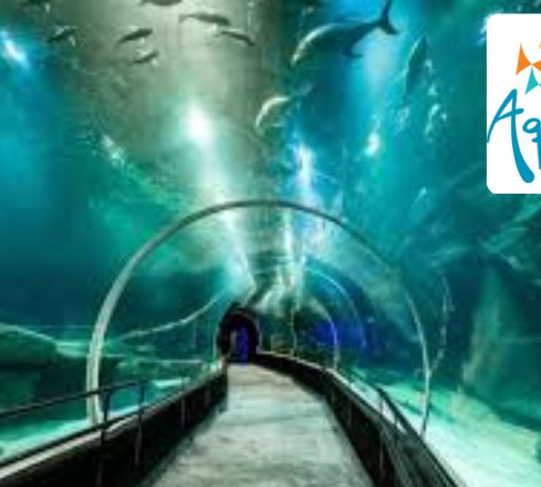 AquaRio está com vagas em aberto, há oportunidades para primeiro emprego!
